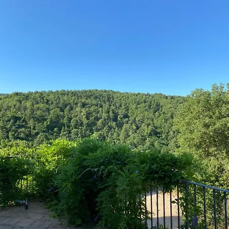 Edera * San Venanzo