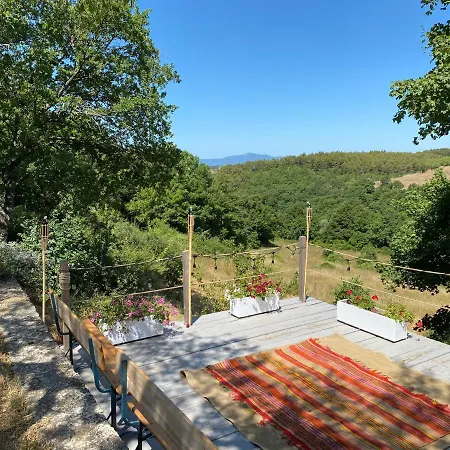 Edera San Venanzo
