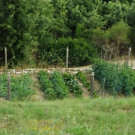 Edera Villa *