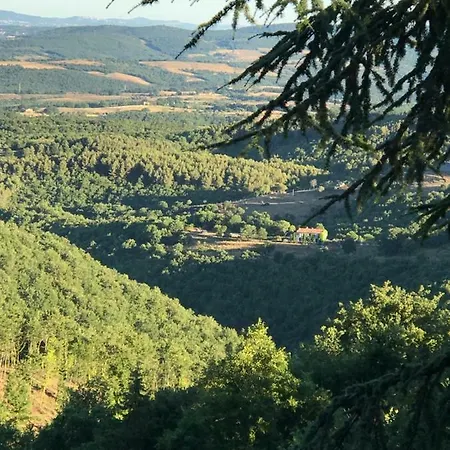 Edera San Venanzo