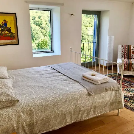 Edera Villa San Venanzo