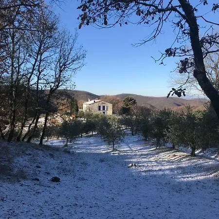 Villa Edera San Venanzo